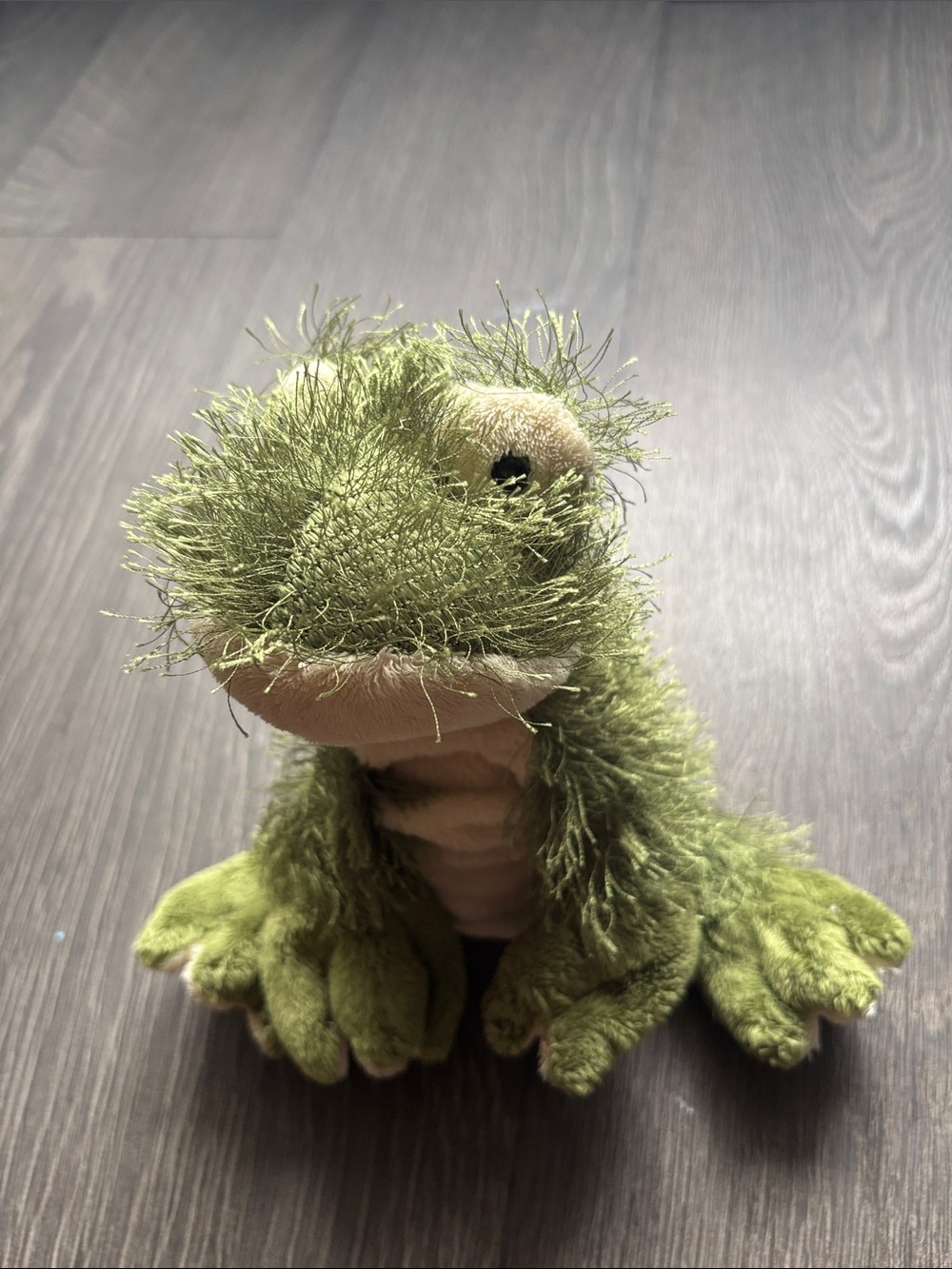 Webkinz GANZ Green Frog